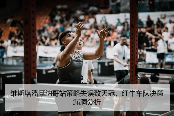 wei-si-ta-pan-mo-na-ge-zhan-ce-lve-shi-wu-zhi-diu-guan-hong-niu-che-dui-jue-ce-lou-dong-fen-xi-2-305.jpg